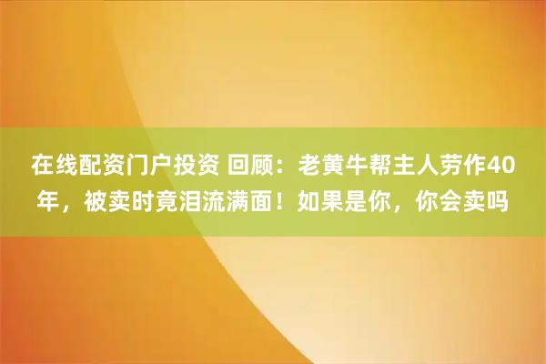 在线配资门户投资 回顾：老黄牛帮主人劳作40年，被卖时竟泪流满面！如果是你，你会卖吗